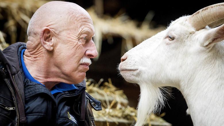 The Incredible Dr. Pol still 7