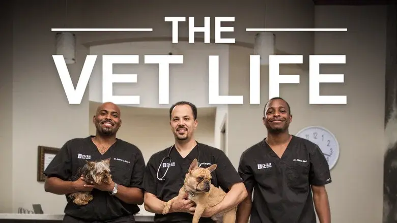 The Vet Life still 6