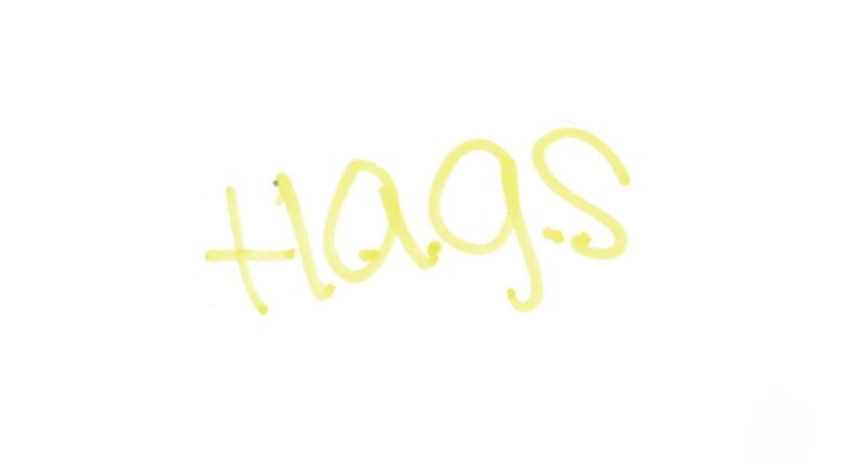 H.A.G.S. (Have a Good Summer) still 2