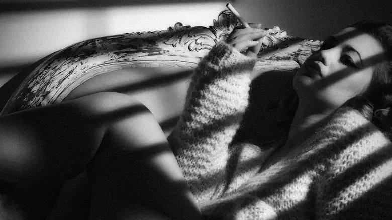 Film Noir: Bringing Darkness to Light still 3