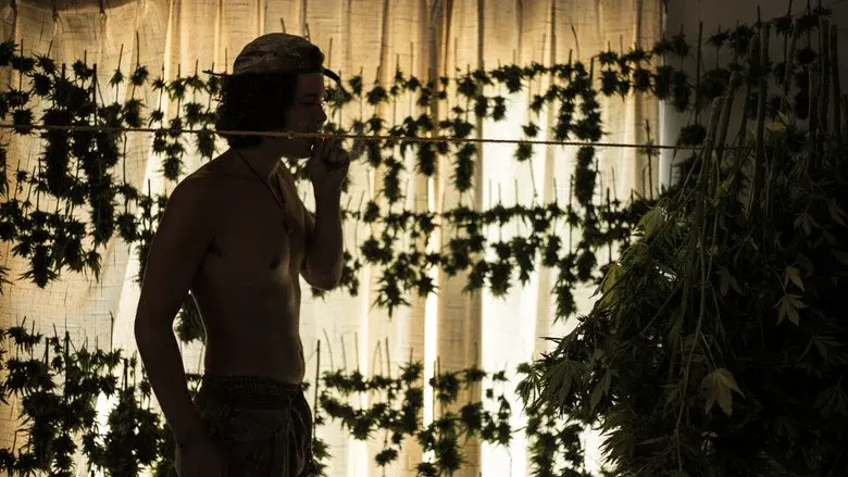 High Landz still 1
