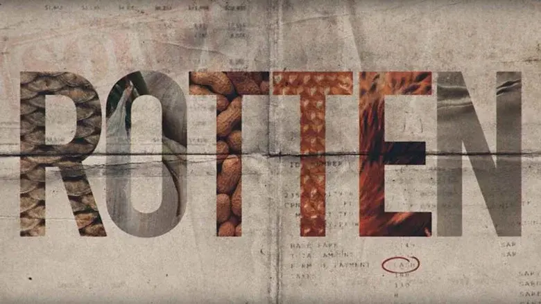 Rotten still 2