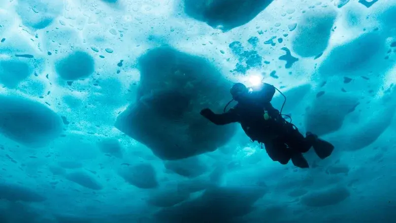 Bering Sea Gold: Under the Ice still 2