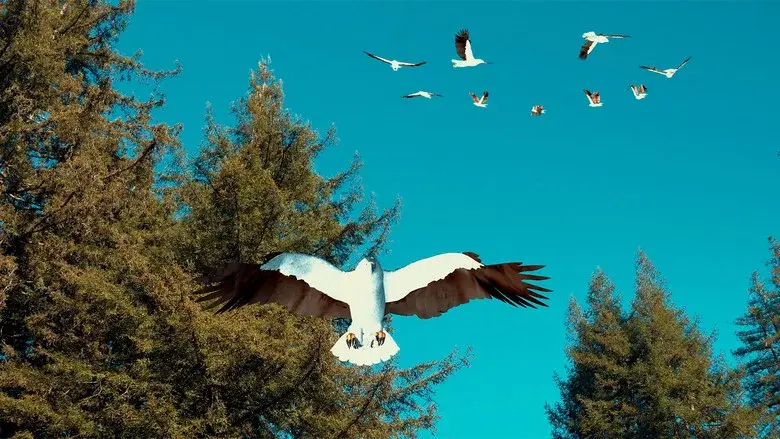 Birdemic 3: Sea Eagle still 1