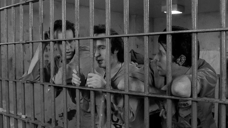Down by Law still 6