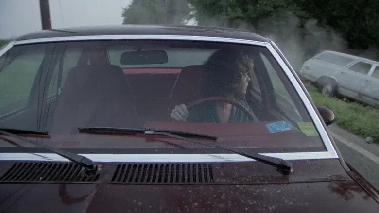 The Nesting still 6