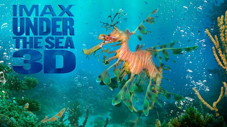 Under the Sea 3D still 4