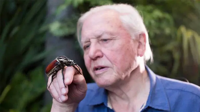 Micro Monsters with David Attenborough still 7