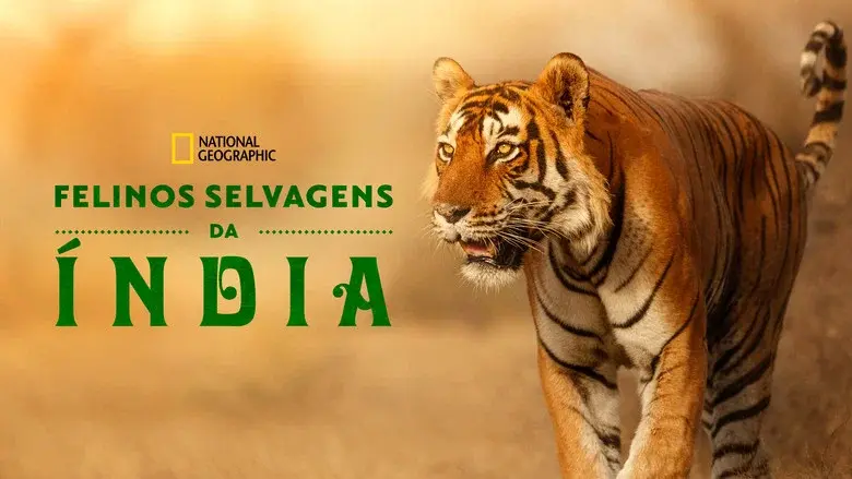 Wild Cats of India still 3