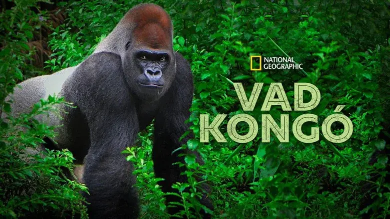 Wild Congo still 1