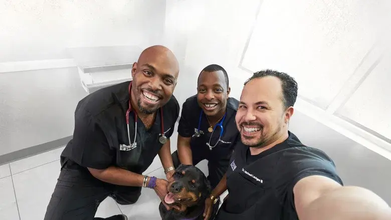 The Vet Life still 1