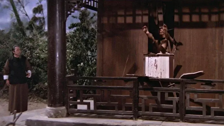 Invincible Shaolin still 4
