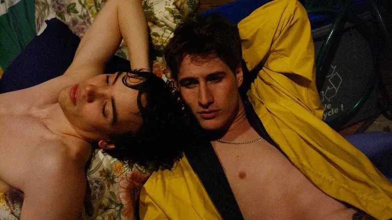 Sugar still 2