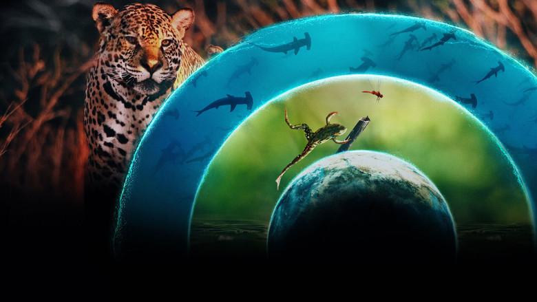 Our Living World still 1