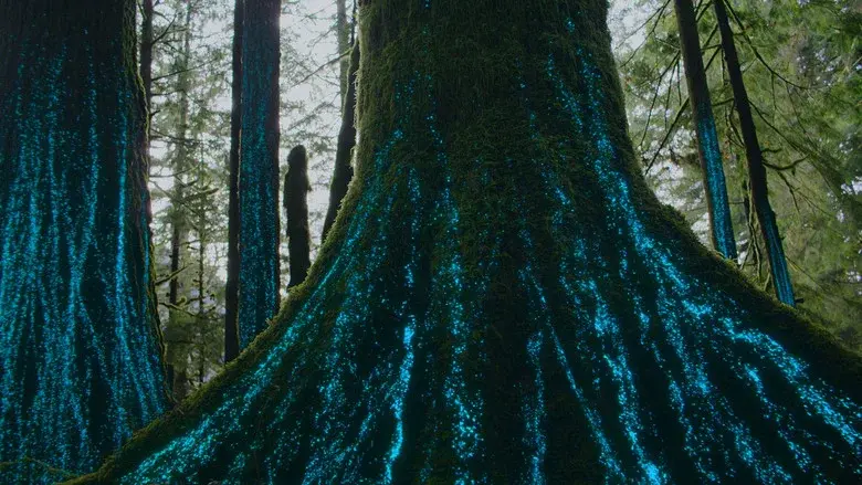 Our Living World still 3