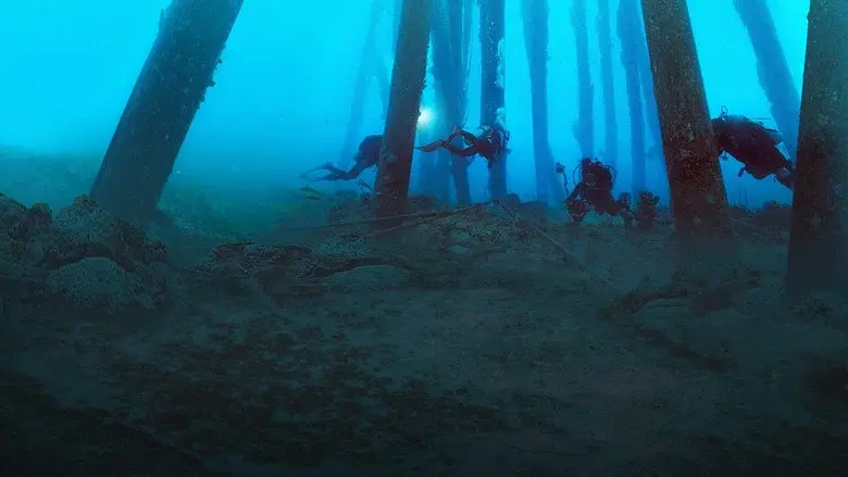 Reef Wrecks still 2