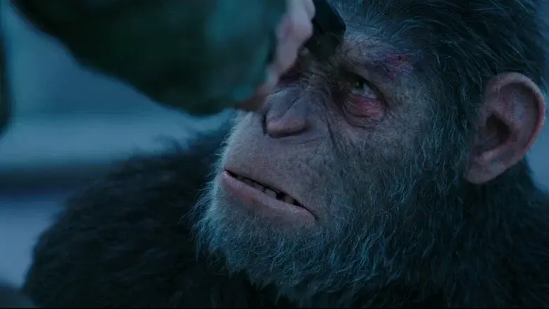 War for the Planet of the Apes still 8