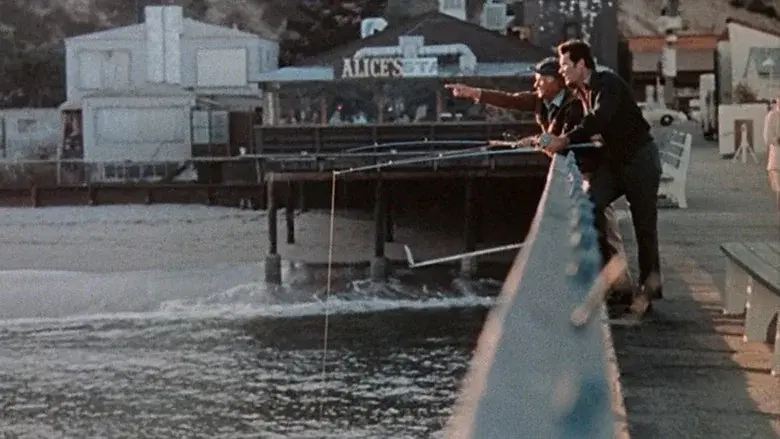 The Rockford Files still 7