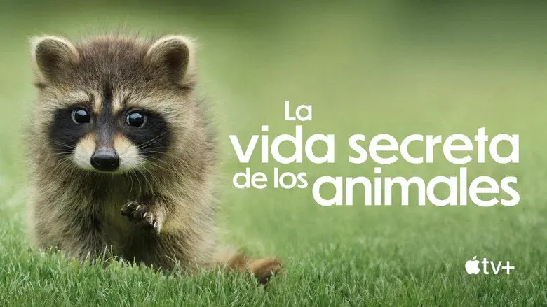 The Secret Lives of Animals still 7