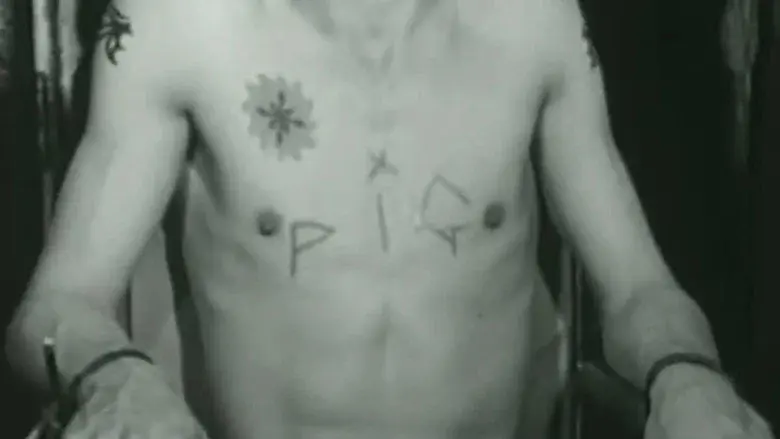 Pig still 5