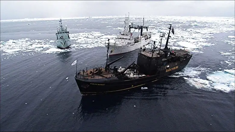 At the Edge of the World still 7
