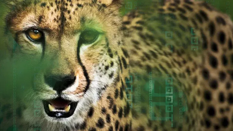 Hacking the Wild still 1