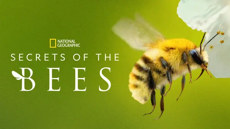 Secrets of the Bees still 6
