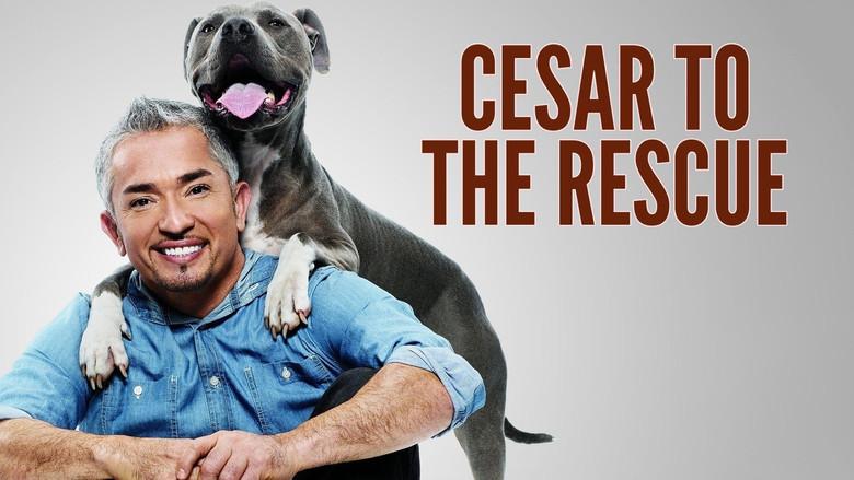 Cesar 911 still 4