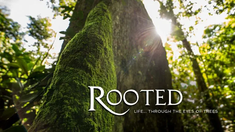 Rooted still 1