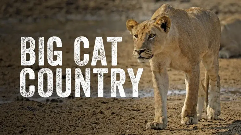 Big Cat Country still 1