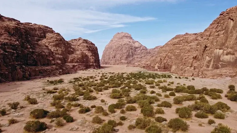 ماذا يأكل السعوديون still 2
