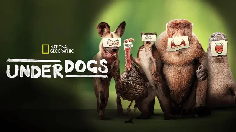 Underdogs still 6