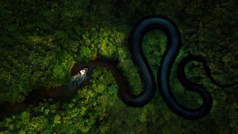 The Mosquito Coast still 6