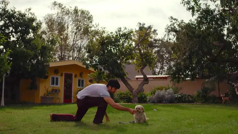 Doggy Bank still 5