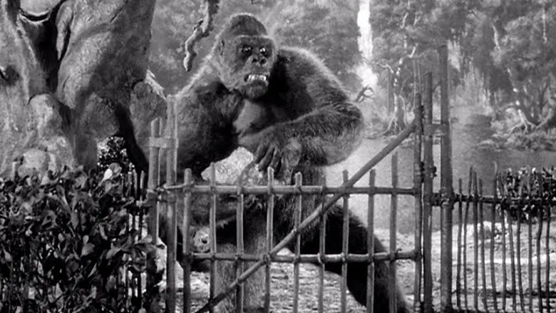 Mighty Joe Young still 1