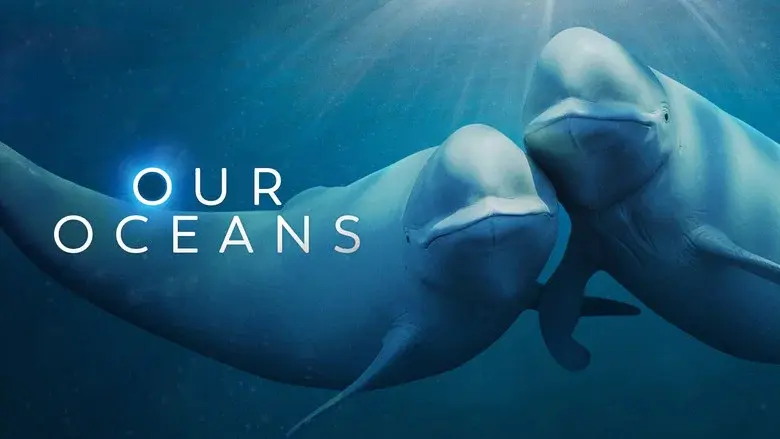Our Oceans still 5
