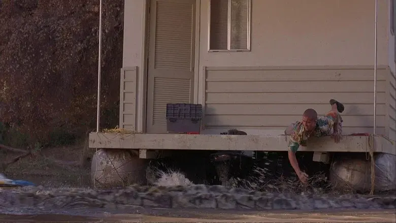 Crocodile still 6