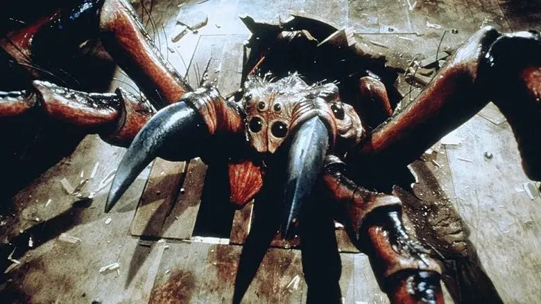 Spiders still 2