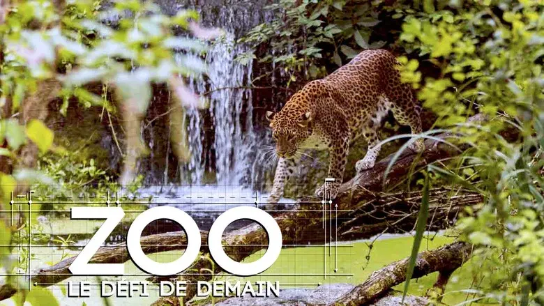 Zoo : le défi de demain still 1