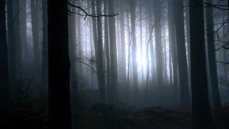Finding Bigfoot still 1