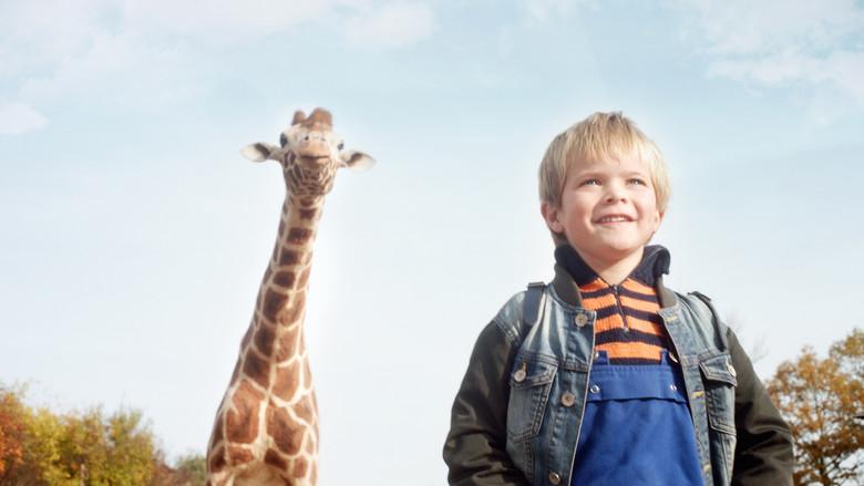 My Giraffe still 1