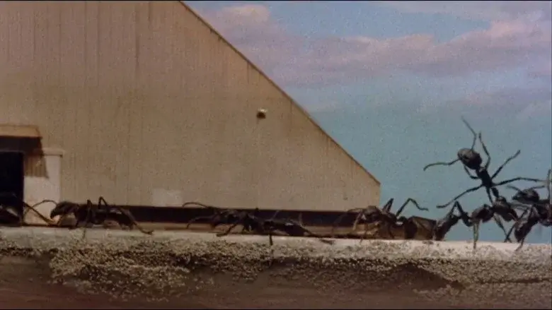 Empire of the Ants still 6