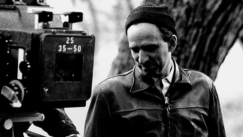 Bergman's Video still 5