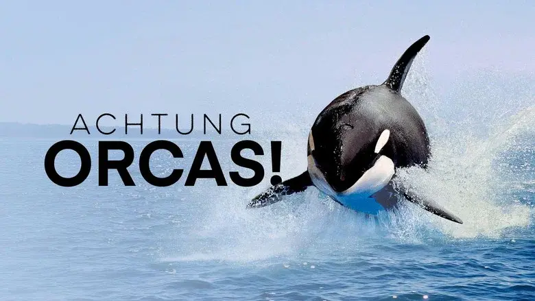 Watch Out for Orcas! Danger Off Gibraltar? still 3