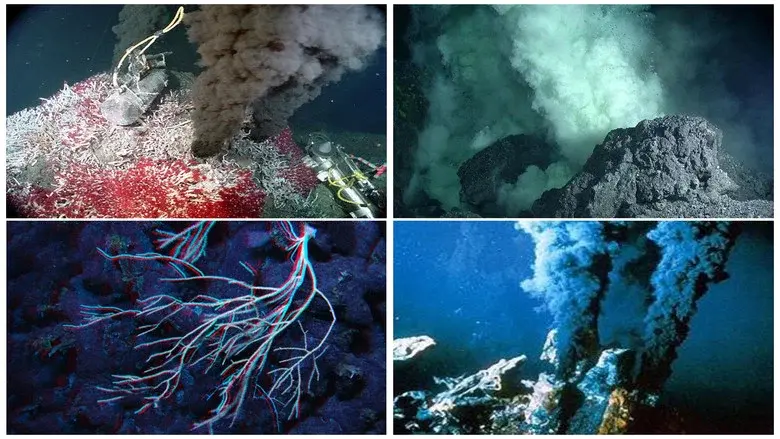 Volcanoes of the Deep Sea still 1