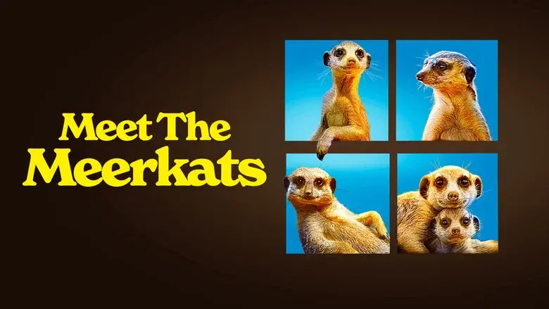 Meet The Meerkats still 3