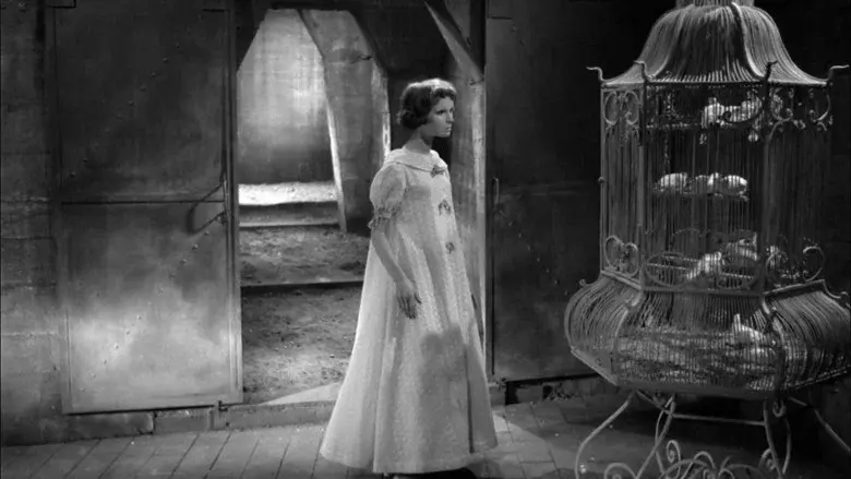 Eyes Without a Face still 8