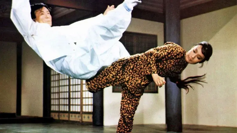 Hapkido still 4