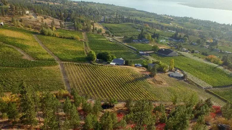 The Orchard still 5