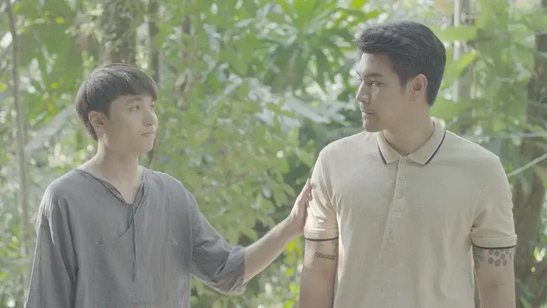 Present Still Perfect still 6